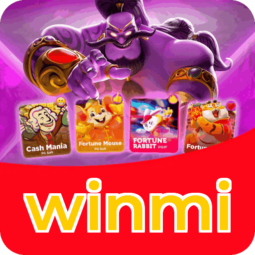 Métodos de pagamento aceitos na winmi